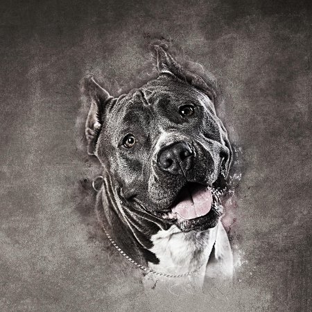 Амстафф оскал