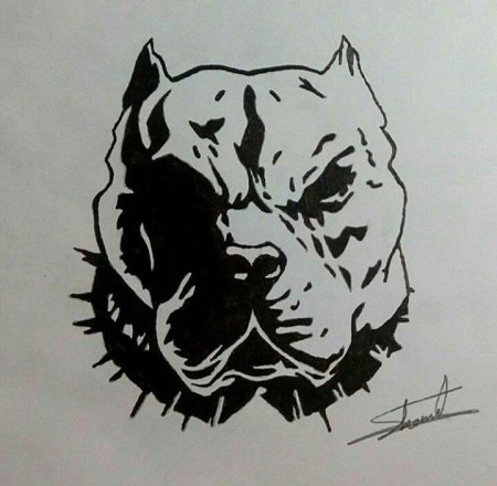 Татуировка питбуль эскиз