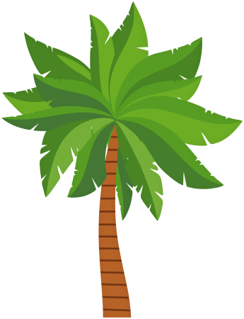Пальма без фона