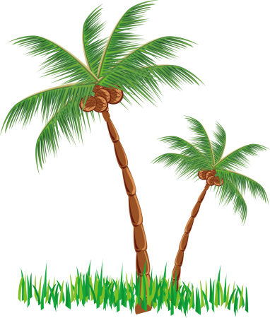 Пальмы картинки Рисованные