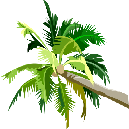 Пальма на прозрачном фоне