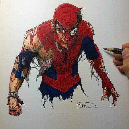 Северный паук Евгений Зубков