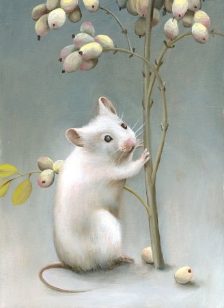Художница-иллюстратор Jean Bradbury