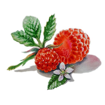 Ягодки акварель