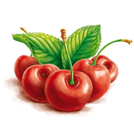 Berry иллюстрация