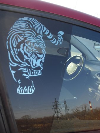 Арт тонирование автомобиля
