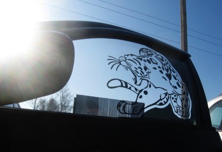 Арт тонирование автомобиля