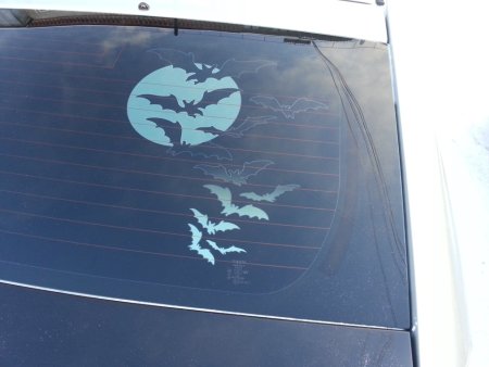 Арт тонирование автомобиля заднего стекла