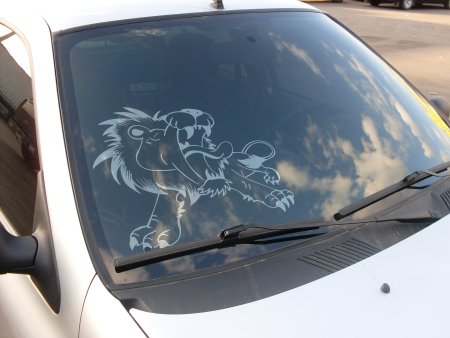 Арт тонировка стекол автомобиля
