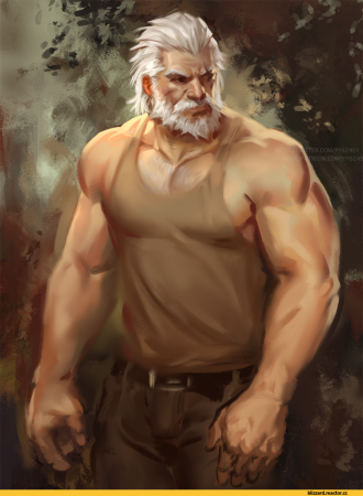 Рейнхард овервотч арт