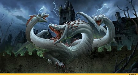 Гидра дракон