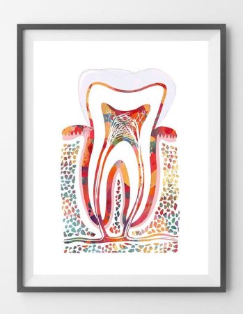 Картины для стоматологии