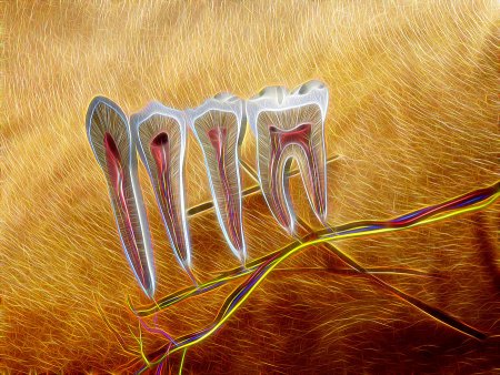 Зуб абстракция