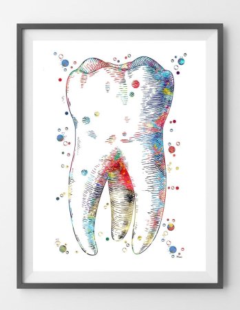 Зуб акварель