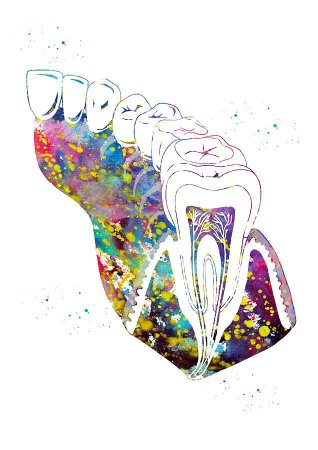 Стоматологические принты