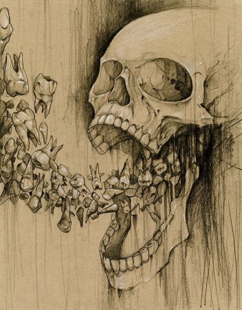 Эскизы зубов