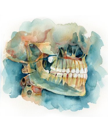 Картины для стоматологии