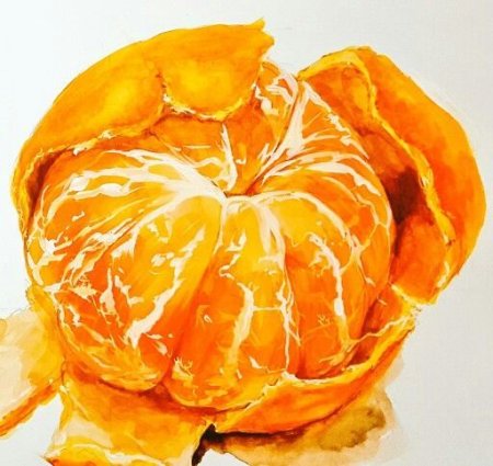 Мандарины для рисования