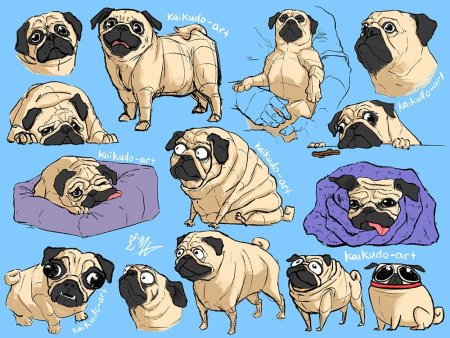 Pug Leonid
