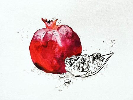 Гранат рисунок