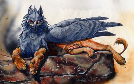 Гриффон Сова