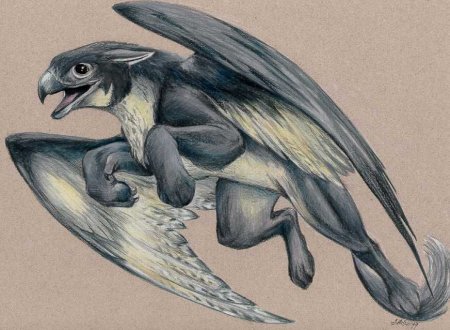 Маленькие Мифические существа