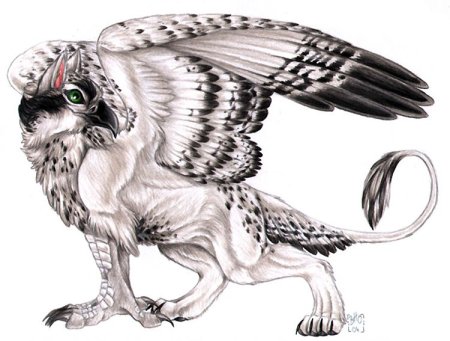 Гриффон Сова