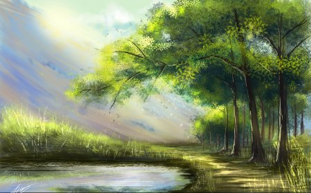 Рисунки природы