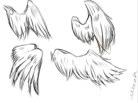Как рисовать Крылья
