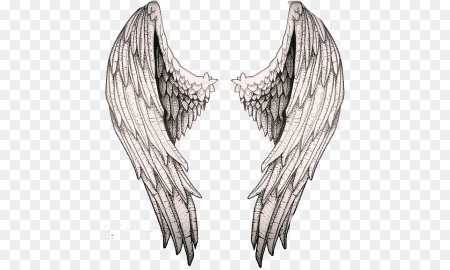 Сложенные Крылья ангела