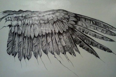 Крылья птицы арт