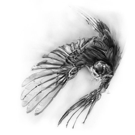 Потрепанные Крылья