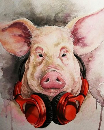 Изображение свиньи