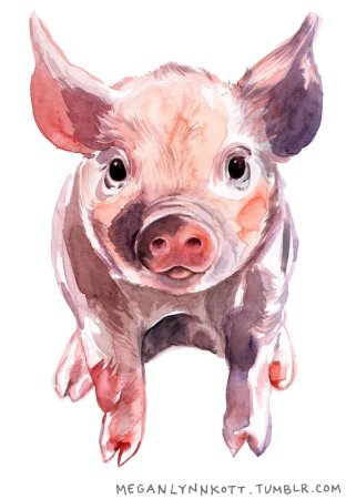 Пятнистые поросята