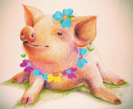 Свинья рисунок