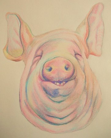 Хрюшка скетч