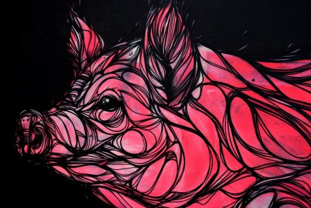 Свинья стилизация