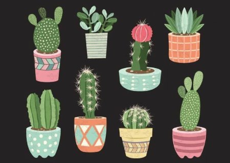 Кактус в горшке иллюстрация