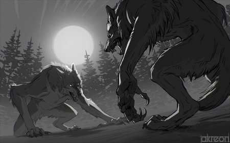 Ликантропия против оборотня