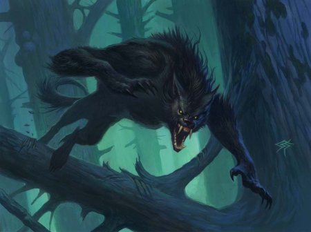 Magic the Gathering вервольфы
