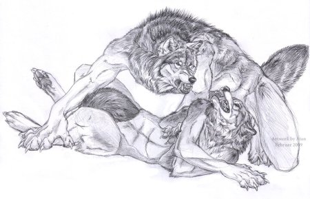 Оборотень рисунок карандашом