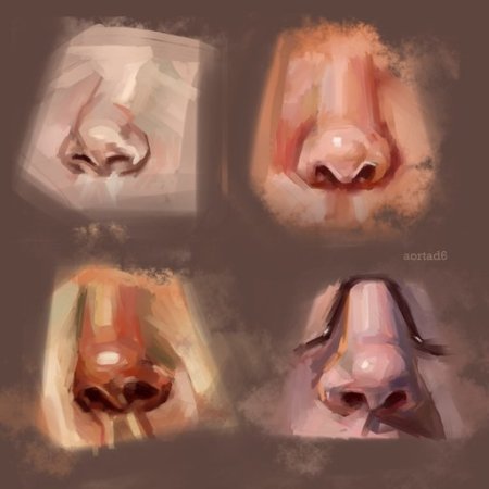 Нос референс САИ