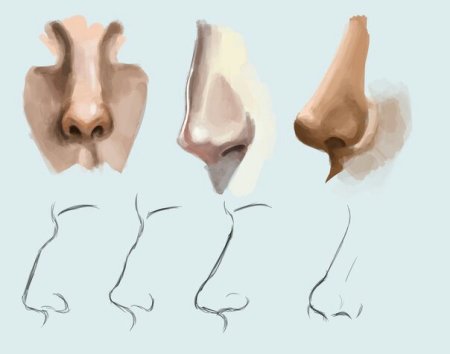 Нос с горбинкой референс