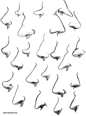 Нос в профиль референс