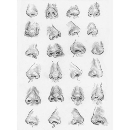 Референс Носов