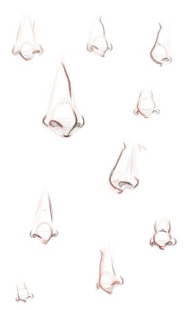 Нос снизу референс