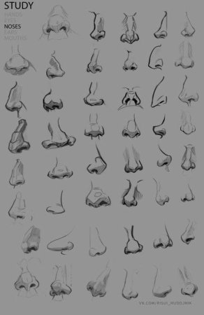 Типы Носов референс