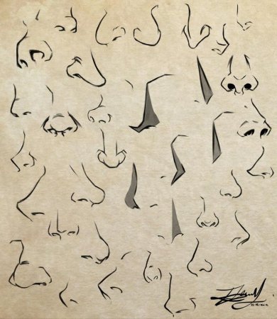 Стилизованные носы