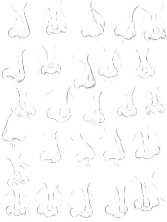 Нос спереди референс