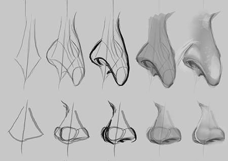 Формы носа референс